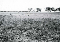 A study of the land in the Catchment of Gippsland Lakes - Vol 2 - land system Clydebank- image