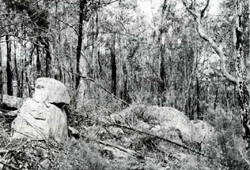 A study of the land in the Catchment of Gippsland Lakes - Vol 2 - land system Deadhorse- image