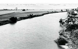 A study of the land in the Catchment of Gippsland Lakes - Vol 2 - land system Delta- image
