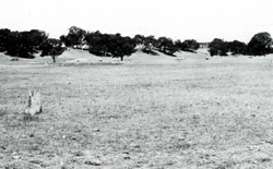 A study of the land in the Catchment of Gippsland Lakes - Vol 2 - land system Freestone- image