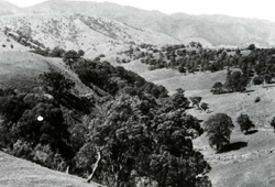 A study of the land in the Catchment of Gippsland Lakes - Vol 2 - land system Glenmaggie - image