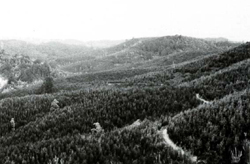 A study of the land in the Catchment of Gippsland Lakes - Vol 2 - land system Gunyah- image