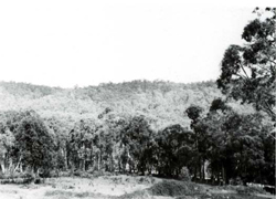 A study of the land in the Catchment of Gippsland Lakes - Vol 2 - land system Jamieson- image