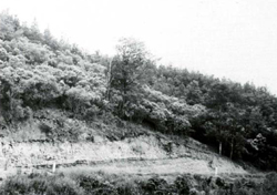 A study of the land in the Catchment of Gippsland Lakes - Vol 2 - land system Jeeralang- image