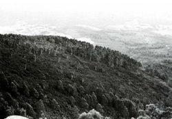 A study of the land in the Catchment of Gippsland Lakes - Vol 2 - land system Kirchubel- image