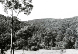 A study of the land in the Catchment of Gippsland Lakes - Vol 2 - land system La trobe- image