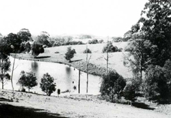 A study of the land in the Catchment of Gippsland Lakes - Vol 2 - land system Livingston- image