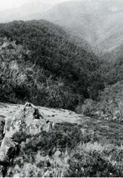 A study of the land in the Catchment of Gippsland Lakes - Vol 2 - land system Macalister- image