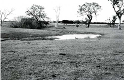 A study of the land in the Catchment of Gippsland Lakes - Vol 2 - land system Maffra1- image