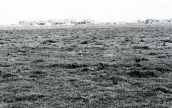 A study of the land in the Catchment of Gippsland Lakes - Vol 2 - land system Maffra2- image