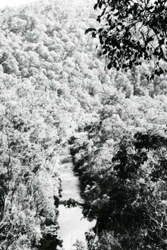 A study of the land in the Catchment of Gippsland Lakes - Vol 2 - land system Mitchell- image
