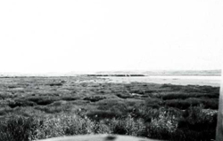 A study of the land in the Catchment of Gippsland Lakes - Vol 2 - land system Morass- image