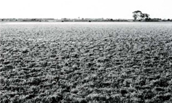 A study of the land in the Catchment of Gippsland Lakes - Vol 2 - land system Nambrok- image