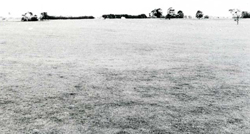 A study of the land in the Catchment of Gippsland Lakes - Vol 2 - land system Nuntin- image