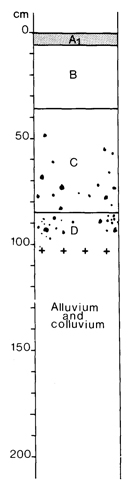 A study of the land in the Catchment of Gippsland Lakes - Vol 2 - Soil profile 10