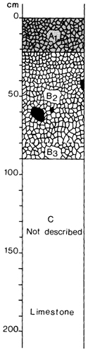 A study of the land in the Catchment of Gippsland Lakes - Vol 2 - Soil profile 13