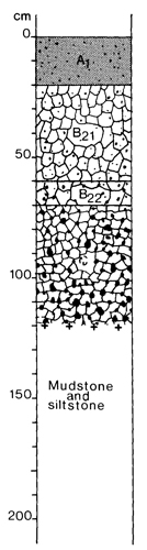 A study of the land in the Catchment of Gippsland Lakes - Vol 2 - Soil profile 14