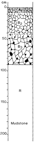 A study of the land in the Catchment of Gippsland Lakes - Vol 2 - Soil profile 16