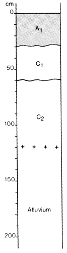 A study of the land in the Catchment of Gippsland Lakes - Vol 2 - Soil profile 17