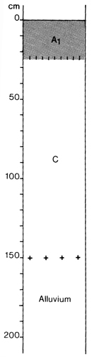 A study of the land in the Catchment of Gippsland Lakes - Vol 2 - Soil profile 18
