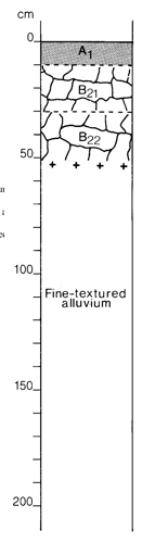 A study of the land in the Catchment of Gippsland Lakes - Vol 2 - Soil profile 2