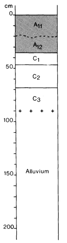 A study of the land in the Catchment of Gippsland Lakes - Vol 2 - Soil profile 25