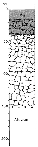 A study of the land in the Catchment of Gippsland Lakes - Vol 2 - Soil profile 26