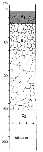 A study of the land in the Catchment of Gippsland Lakes - Vol 2 - Soil profile 27