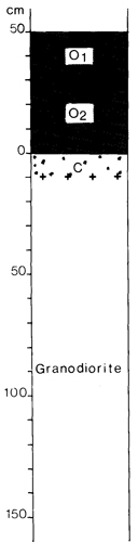 A study of the land in the Catchment of Gippsland Lakes - Vol 2 - Soil profile 3