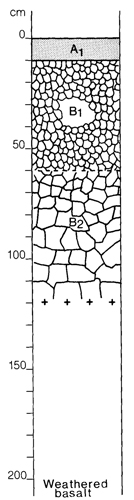 A study of the land in the Catchment of Gippsland Lakes - Vol 2 - Soil profile 30