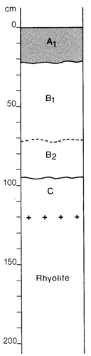 A study of the land in the Catchment of Gippsland Lakes - Vol 2 - Soil profile 32