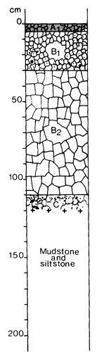 A study of the land in the Catchment of Gippsland Lakes - Vol 2 - Soil profile 34