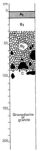 A study of the land in the Catchment of Gippsland Lakes - Vol 2 - Soil profile 36