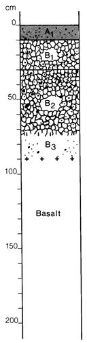 A study of the land in the Catchment of Gippsland Lakes - Vol 2 - Soil profile 37