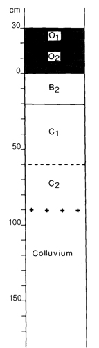 A study of the land in the Catchment of Gippsland Lakes - Vol 2 - Soil profile 4