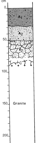 A study of the land in the Catchment of Gippsland Lakes - Vol 2 - Soil profile 45