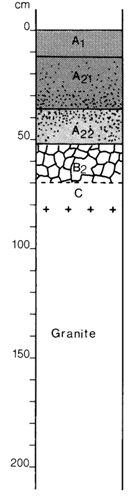 A study of the land in the Catchment of Gippsland Lakes - Vol 2 - Soil profile 46
