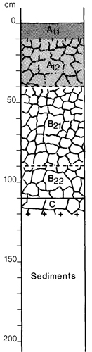 A study of the land in the Catchment of Gippsland Lakes - Vol 2 - Soil profile 47