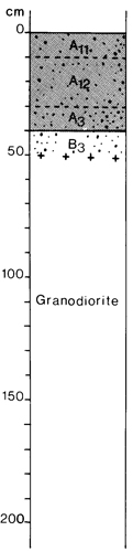 A study of the land in the Catchment of Gippsland Lakes - Vol 2 - Soil profile 5