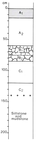 A study of the land in the Catchment of Gippsland Lakes - Vol 2 - Soil profile 53