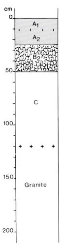 A study of the land in the Catchment of Gippsland Lakes - Vol 2 - Soil profile 54
