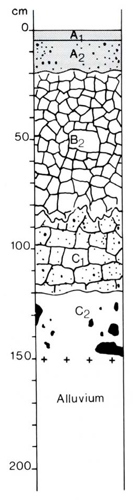 A study of the land in the Catchment of Gippsland Lakes - Vol 2 - Soil profile 59