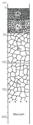 A study of the land in the Catchment of Gippsland Lakes - Vol 2 - Soil profile 69