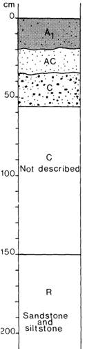 A study of the land in the Catchment of Gippsland Lakes - Vol 2 - Soil profile 7