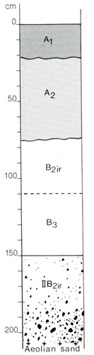 A study of the land in the Catchment of Gippsland Lakes - Vol 2 - Soil profile 73