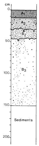 A study of the land in the Catchment of Gippsland Lakes - Vol 2 - Soil profile 9