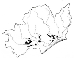 A study of the land in the Catchment of Gippsland Lakes - Vol 2 - land system Redgum2- geo