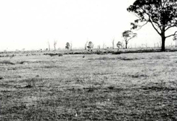 A study of the land in the Catchment of Gippsland Lakes - Vol 2 - land system Redgum2- image