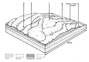 A study of the land in the Catchment of Gippsland Lakes - Vol 2 - land system Salt Creek - cs