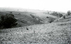 A study of the land in the Catchment of Gippsland Lakes - Vol 2 - land system Salt Creek - image